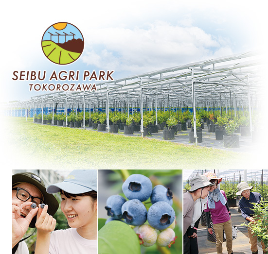 西武アグリパーク所沢イメージ写真