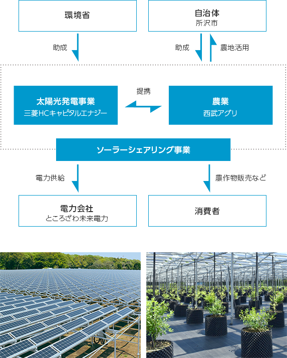 ソーラーシェアリング解説図